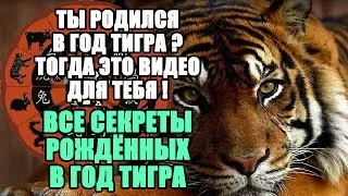 Родился в Год Тигра? Самый подробный разбор твоих качеств и талантов.