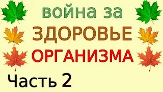 Грибки и бактерии на коже - парадоксальный признак здоровья человека. Секреты долголетия Часть 2