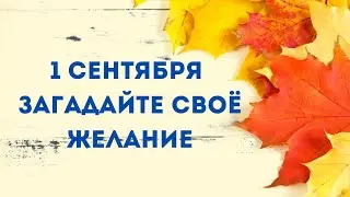 1 сентября - Фекла Свекольница. Загадайте своё желание | Народные Приметы