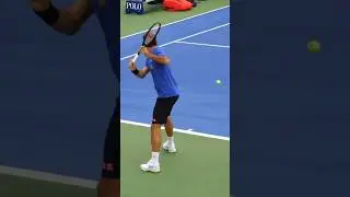 Majestic Roger Federer Backhand #shorts