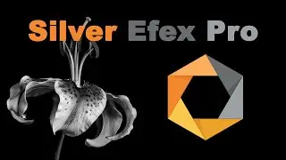 SILVER EFEX PRO 2: Black and White Conversion (Full Edit)