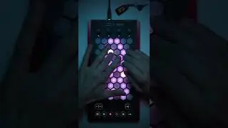 Exquis - #kavinsky #nightcall Expressive #solo #performance #improvisation #midi #mpe #remix #synth