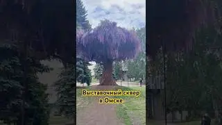 Выставочный сквер на месте Сада офицеров, Омск