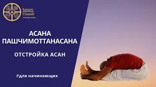 Пашчимоттанасана | Отстройка асан | Йога для начинающих