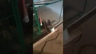 Содержание нутрий (Нутрятник)