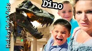 T-Rex Museum!  Mammoth Saber Tooth Tiger Natural History Learning by HobbyKids