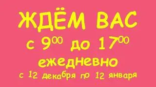 Конфеты 12