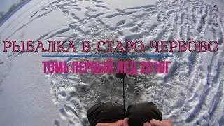 Первый лед 2019 на Томи
