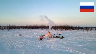 How The North Nomads live in Russia Tundra? How people live in Russia today