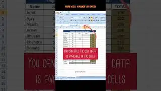 Hide cell content in excel 