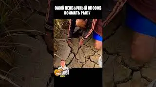 Хитрые Китайцы 😆 