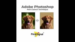 Adobe Photoshop Graphic Design Tutorial for Beginners | Photo Editing | #PrintSignal