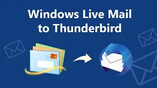 How to Transfer Folders From Windows Live Mail to Thunderbird?