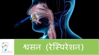 श्वसन | Respiration | Hindi