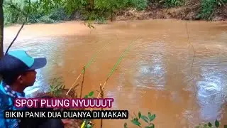 Memasuki spot ikan Baung di Pedalaman hutan sendirian _Di buat kualahan strikeeee