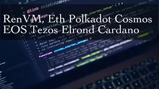 RenVM, Eth Polkadot Cosmos EOS Tezos Elrond Cardano