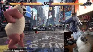 Tekken 8 MORE RANKING UP PANDA (づ｡◕‿‿◕｡)づ