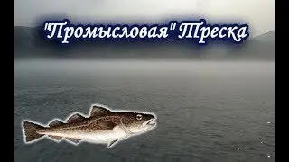 Восточная 