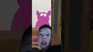 кот Джем и свинка сметанка
