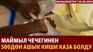 Жаңылыктар | 20.08.2024 | Маймыл чечегинен 500дөн ашык киши каза болду