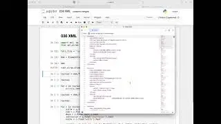 036 XML