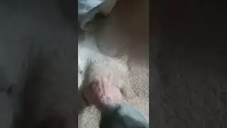 Пшеницу превращает в муку.