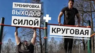 Тренировка Выходов Силой | 10 Минутная Круговая