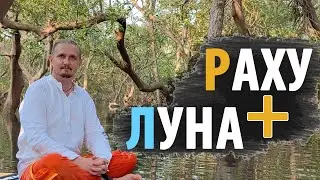 Соединение РАХУ и ЛУНА | Дмитрий Пономарев