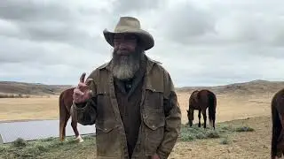 When We ALMOST Hope Our Horse is Physically Uncomfortable