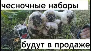 Наборам чеснока быть!(Генеральские наборы в продаже)