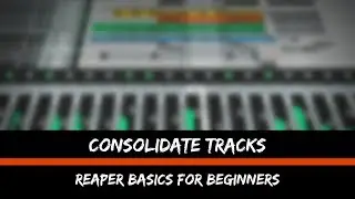 Consolidate Tracks | Reaper Basics for Beginners