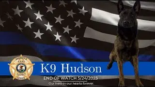 Kane County Sheriff K-9 Hudson Gunned Down in the Line of Duty