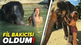 BİR GÜN BOYUNCA FİL BAKICISI OLDUM ! ( Yere Düştüm ) - Tayland 1 - | Gözde Yıldız