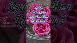 Доброе утро !Хорошего дня !🍃🌺🍃🦋💛#доброеутро #пожелания #пожеланиедлядрузей #лето