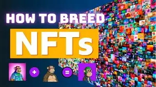 How to BREED your NFTS | Passive income with crypto