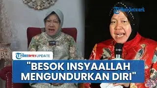 Temui Jokowi Besok, Risma akan Mundur dari Jabatan Menteri Sosial untuk Fokus Pilgub Jatim 2024