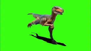 Green screen | Dinosaur | Animation | Footage | Download | №163