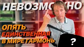 СДЕЛАЛИ НЕВОЗМОЖНОЕ С ГАРМОШКОЙ // НОВАЯ МОДЕЛЬ