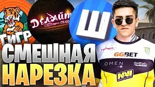 СМЕШНАЯ НАРЕЗКА СО СТРИМА #1 (Канал Шока, Делайт, Канал Тигра) (CS:GO МОНТАЖ)