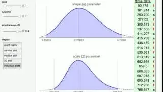 Simultaneous Confidence Interval for the Weibull Parameters