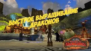 SoD - быстрое выращивание драконов