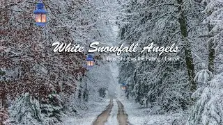 ☃️ Enjoy Snowfall Sparkling Relaxing Music ❄️. Meditation,  Study, Bed Time Music, Winter Music 🌨️