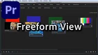 How to Organize Media in Premiere Pro CC: Mastering Freeform View for Efficient Workflow