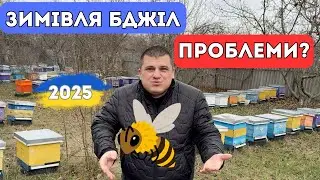 Зимівля Бджіл 2025 ✅ 🐝