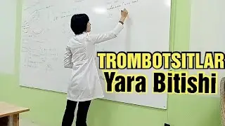 Trombotsitlar Faolyati. Jarohat Bitishi mexanizmi. NORMAL FIZIOLOGIYA