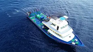 Pole and Line Fishing in Maldives 2020.