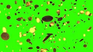 Coins Gold Coins Free Falling Green Screen Slow Motion 3d Full Hd | By Creator Stockify