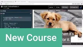 3 CSS Grid Projects for Web Designers - Course Trailer