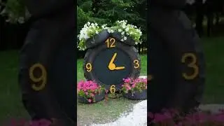 phula di bahar ni badhai hove|Flowers|colors|garden decor