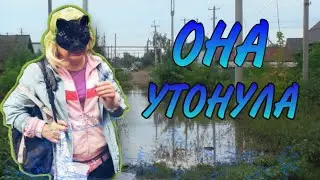 Олисия, иди сюда! ПРИКОЛ